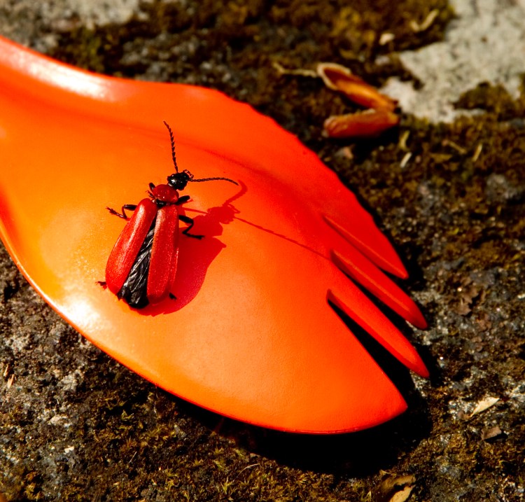 2011_05_19_0486-copyFB