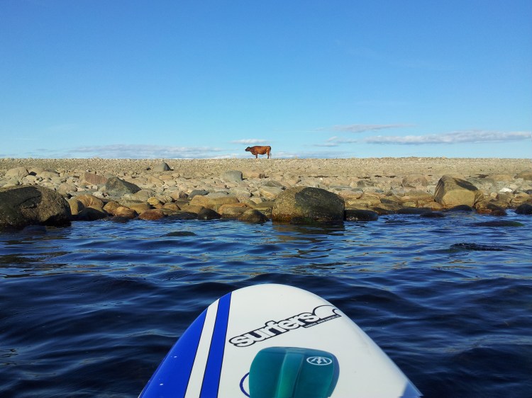 20120811_182829-cop-sup