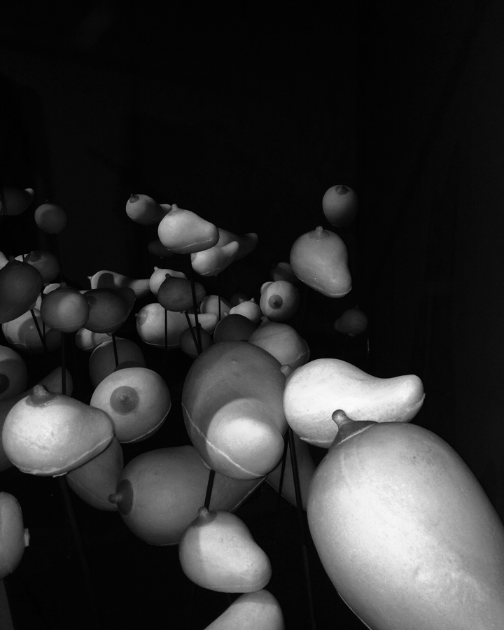 20140502_120730