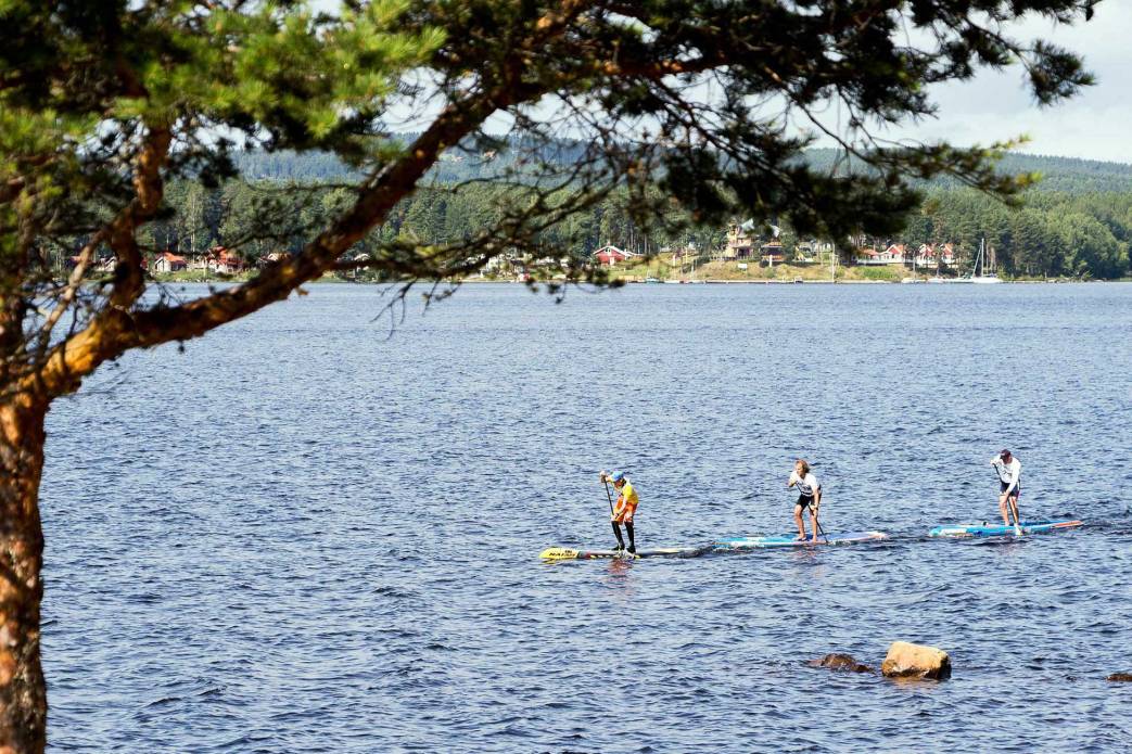 11816376_827912573960099_5415494337721479766_o GARMO